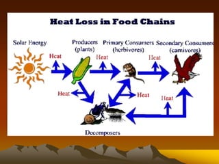 ECOLOGY.ppt