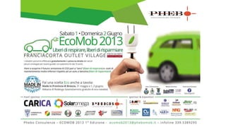 Ecomob 2013