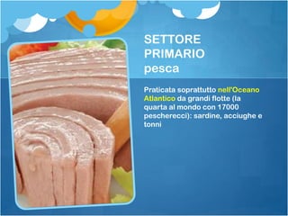 SETTORE
PRIMARIO
pesca
Praticata soprattutto nell'Oceano
Atlantico da grandi flotte (la
quarta al mondo con 17000
pescherecci): sardine, acciughe e
tonni
 