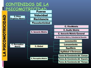 CONTENIDOS DE LA
PSICOMOTRICIDAD
 