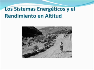 Los Sistemas Energéticos y el Rendimiento en Altitud 