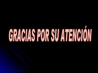 GRACIAS POR SU ATENCIÓN 