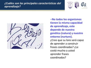 No todos los organismos
tienen la misma capacidad
de aprendizaje, esto
depende de nuestra
genética (natura) y nuestro
entorno (nurture).
¿Cree que su loro será capaz
de aprender a construir
frases coordinadas? ¿Le
costó mucho a usted
aprender frases
coordinadas?
¿Cuáles son las principales características del
aprendizaje?
 