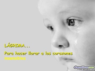 LÁGRIMA... Para hacer llorar a los corazones  insensibles 