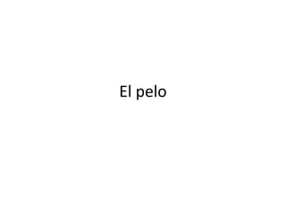 El pelo 