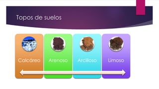 Topos de suelos
Calcáreo Arenoso Arcilloso Limoso
 