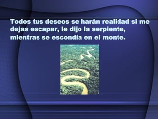 Todos tus deseos se harán realidad si me dejas escapar, le dijo la serpiente, mientras se escondía en el monte.   