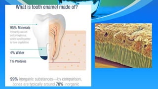 Enamel composition and structure