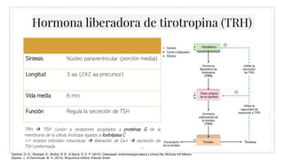 Hormona liberadora de tirotropina (TRH)
19
Síntesis Núcleo paraventricular (porción medial)
Longitud 3 aa (242 aa precursor)
Vida media 6 min
Función Regula la secreción de TSH
TRH  TSH (unión a receptores acoplados a proteínas G de la
membrana de la célula tirotropa ligados a fosfolipasa C
>> Inositol trifosfato intracelular  liberación de Ca+  secreción de
TSH preformada
Gardner, D. G., Shoback, D., Muñoz, B. R., & Sierra, G. E. P. (2012). Greenspan: endocrinología básica y clínica (9a. McGraw Hill México.
Baynes, J., & Dominiczak, M. H. (2015). Bioquímica médica. Elsevier Brasil.
 