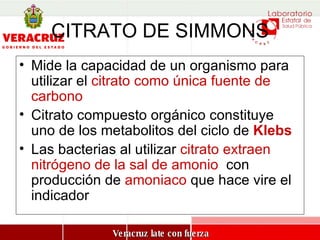 Mide la capacidad de un organismo para utilizar el  citrato como única fuente de carbono Citrato compuesto orgánico constituye uno de los metabolitos del ciclo de  Klebs Las bacterias al utilizar  citrato   extraen nitrógeno de la sal de amonio   con producción de  amoniaco  que hace vire el indicador  CITRATO DE SIMMONS 