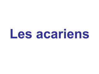 Les acariens
 