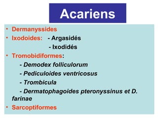Acariens
• Dermanyssides
• Ixodoides: - Argasidés
               - Ixodidés
• Tromobidiformes:
     - Demodex folliculorum
     - Pediculoides ventricosus
     - Trombicula
     - Dermatophagoides pteronyssinus et D.
  farinae
• Sarcoptiformes
 