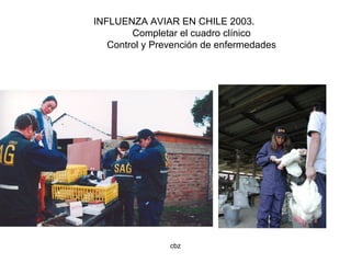 cbz
INFLUENZA AVIAR EN CHILE 2003.
Completar el cuadro clínico
Control y Prevención de enfermedades
 
