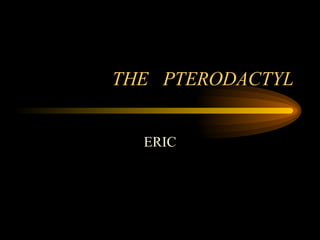 THE  PTERODACTYL ERIC 