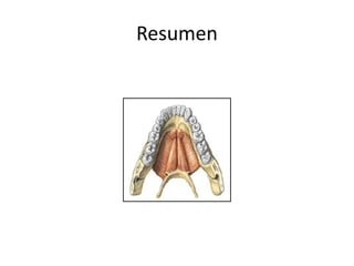 Resumen
 