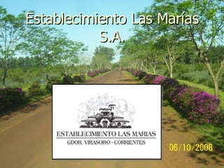 Establecimiento Las Marías S.A. 