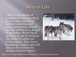 “Due to the density of
population in Europe there
are few areas of natural
habitat remaining and
many indigenous animals
are now extinct or in danger
of extinction. Brown bears
and wolves can be found in
the northern coniferous
forest regions. Deer, foxes,
hedgehogs, snakes and wild
cats can be found in the
deciduous forest regions.”
http://www.naturalhistoryonthenet.com/Continents/europe.htm
 
