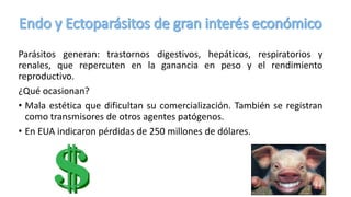 Parásitos generan: trastornos digestivos, hepáticos, respiratorios y
renales, que repercuten en la ganancia en peso y el rendimiento
reproductivo.
¿Qué ocasionan?
• Mala estética que dificultan su comercialización. También se registran
como transmisores de otros agentes patógenos.
• En EUA indicaron pérdidas de 250 millones de dólares.
 