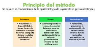 Se basa en el conocimiento de la epidemiología de la parasitosis gastrointestinales.
Primavera
• Al aumentar la
disponibilidad de
forraje durante la
primavera, se diluyen
las larvas en el pasto
disminuyendo las
posibilidades de
infestación.
Verano
• Durante el período de
verano, al aumentar
la temperatura, se
produce una
disminución de la
contaminación larval
del pasto
particularmente
durante los días
cálidos y secos.
Otoño-inverno
• Por lo tanto,
previniendo la
contaminación del
período otoño-
invernal durante
varios años
consecutivos, se
limpiará la pastura.
 