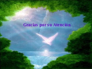 Gracias por su Atención   