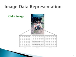 33
Color image
 