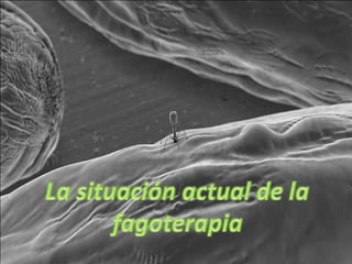 FAGOS 
