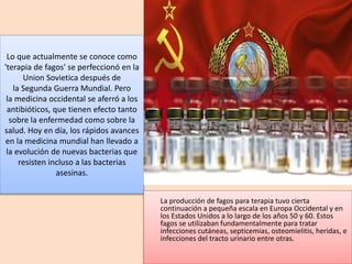 Lo que actualmente se conoce como
'terapia de fagos' se perfeccionó en la
Union Sovietica después de
la Segunda Guerra Mundial. Pero
la medicina occidental se aferró a los
antibióticos, que tienen efecto tanto
sobre la enfermedad como sobre la
salud. Hoy en día, los rápidos avances
en la medicina mundial han llevado a
la evolución de nuevas bacterias que
resisten incluso a las bacterias
asesinas.
La producción de fagos para terapia tuvo cierta
continuación a pequeña escala en Europa Occidental y en
los Estados Unidos a lo largo de los años 50 y 60. Estos
fagos se utilizaban fundamentalmente para tratar
infecciones cutáneas, septicemias, osteomielitis, heridas, e
infecciones del tracto urinario entre otras.
 