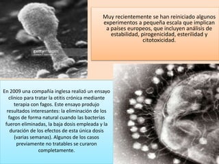 Muy recientemente se han reiniciado algunos
experimentos a pequeña escala que implican
a países europeos, que incluyen análisis de
estabilidad, pirogenicidad, esterilidad y
citotoxicidad.
En 2009 una compañía inglesa realizó un ensayo
clínico para tratar la otitis crónica mediante
terapia con fagos. Este ensayo produjo
resultados interesantes: la eliminación de los
fagos de forma natural cuando las bacterias
fueron eliminadas, la baja dosis empleada y la
duración de los efectos de esta única dosis
(varias semanas). Algunos de los casos
previamente no tratables se curaron
completamente.
 