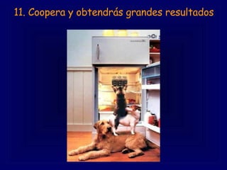 11. Coopera y obtendrás grandes resultados 