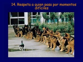         14. Respeta a quien pasa por momentos difíciles 