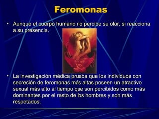 Aunque el cuerpo humano no percibe su olor, si reacciona a su presencia.  La investigación médica prueba que los individuos con secreción de feromonas más altas poseen un atractivo sexual más alto al tiempo que son percibidos como más dominantes por el resto de los hombres y son más respetados.  Feromonas 