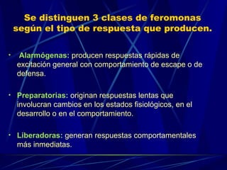 Se distinguen 3 clases de feromonas según el tipo de respuesta que producen. Alarmógenas:  producen respuestas rápidas de excitación general con comportamiento de escape o de defensa. Preparatorias:  originan respuestas lentas que involucran cambios en los estados fisiológicos, en el desarrollo o en el comportamiento. Liberadoras:  generan respuestas comportamentales más inmediatas. 