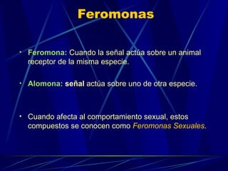 Feromona:   Cuando la señal actúa sobre un animal receptor de la misma especie.  Alomona:  señal  actúa sobre uno de otra especie. Cuando afecta al comportamiento sexual, estos compuestos se conocen como   Feromonas Sexuales . Feromonas 