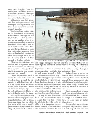 MARCH - APRIL 2020 | SOUTHERN TRADITIONS OUTDOORS 23
grass grows beneath a cedar tree
out in your yard? Once sunk ce-
dars have a tendency to weight
themselves down with mud and
mar up in the lake bottom.
Other trees keep their shape
and their limbs provide cover and
shade plus hold algae better and
thus, attract more baitfish and ul-
timately gamefish.
Weighting down various plas-
tic, cut off barrels or even sinking
tires wired or tied together will
likely hold a few fish, but those
are not as ideal as other type
structures such as logs or a series
of wooden stakes. Wood slabs or
smaller stakes can be either driv-
en into the lake bottom or sunk
in a variety of ways ranging from
concrete blocks filled with Quick-
crete and placing a matrix sticks
into the concrete before it dries
or sunk in 5-gallon buckets.
Allowing the sticks to set up-
right on a vertical position works
well but sometimes just allowing
them to protrude through a buck-
et with a porcupine style appear-
ance can work as well.
Some anglers even build a
square base and nail a series of
wooden stakes around the pa-
rameter or add slats within a 4 x
8 to 8 x 10-foot frame. The foun-
dation, once filled with a series
of stakes sticking upright, can
be sunk with concrete blocks or
rocks tied and wired to the frame.
Driving the stakes down into
the lake bottom is a popular tech-
nique but it takes a lot of labor.
Some guys drive them out of big
jon boats, while others modify
pontoons and rip out floors cre-
ating a base in which to drive a
big number of stakes in a concise
manner, creating a matrix for fish
to both spawn around or hide
and ambush their baitfish prey.
It takes long pole style handles
made of plastic pvc pipe or per-
haps aluminum tubing to create
the driver. Sometimes the handle
may range in length of 20-feet in
order to utilize them off the deck
of a pontoon. Not so long when
driving them out of a jon boat.
The long sleeve or handle may
be a 1 or 2-inch diameter with
a larger sleeve on the bottom
in which to allow the sticks or
slabs to fit to stay put as the rep-
etition of vertical motions drive
and pound the stake into the lake
bottom if held upright during the
entire procedure.
Stakebeds can be driven in
shallow water and left visible or
submerged into deeper depths if
desired. Some anglers even mix
stakebeds and brushpiles togeth-
er to create a larger bed that will
show up better on a sonar unit’s
screen.
Such manmade structures
work great around piers and pri-
vate boat houses. There’s really
no bad place to build fish attrac-
tors, but some places are better
than others.
In main lake areas choose
humps or irregular creek chan-
nels and drop-offs that offer two
An exposed stakebed like this built on a gravel bank can attract bass
and crappie throughout the year. Once lake levels rise the bed will be
submerged but offer shade and sanctuary to roaming fish and baitfish
as well. 						 Photo by Author
 