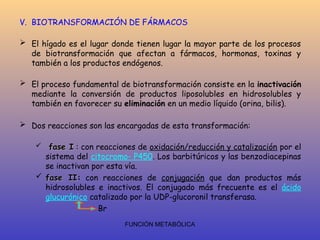 FUNCIÓN METABÓLICA
V. BIOTRANSFORMACIÓN DE FÁRMACOS
 El hígado es el lugar donde tienen lugar la mayor parte de los procesos
de biotransformación que afectan a fármacos, hormonas, toxinas y
también a los productos endógenos.
 El proceso fundamental de biotransformación consiste en la inactivación
mediante la conversión de productos liposolubles en hidrosolubles y
también en favorecer su eliminación en un medio líquido (orina, bilis).
 Dos reacciones son las encargadas de esta transformación:
 fase I
fase I : con reacciones de oxidación/reducción y catalización por el
sistema del citocromo- P450. Los barbitúricos y las benzodiacepinas
se inactivan por esta vía.
 fase II
fase II: con reacciones de conjugación que dan productos más
hidrosolubles e inactivos. El conjugado más frecuente es el ácido
glucurónico catalizado por la UDP-glucoronil transferasa.
Br
 