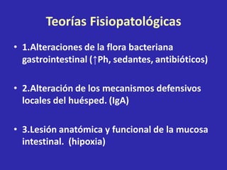 Teorías Fisiopatológicas
• 1.Alteraciones de la flora bacteriana
gastrointestinal (↑Ph, sedantes, antibióticos)
• 2.Alteración de los mecanismos defensivos
locales del huésped. (IgA)
• 3.Lesión anatómica y funcional de la mucosa
intestinal. (hipoxia)
 