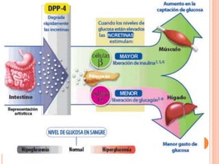 Fisiopatología de la diabetes 1, 2 y gestacional