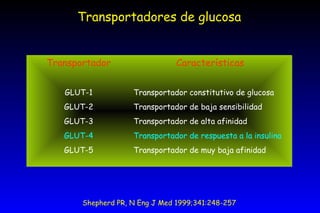 Transportadores de glucosa Shepherd PR, N Eng J Med 1999;341:248-257 Transportador GLUT-1 GLUT-2 GLUT-3 GLUT-4 GLUT-5 Características Transportador constitutivo de glucosa Transportador de baja sensibilidad Transportador de alta afinidad Transportador de respuesta a la insulina Transportador de muy baja afinidad 