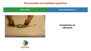 Para enseñar una habilidad especíﬁca
FASE DE DESARROLLOFASE PREVIA
Competición de
cabuyería
 