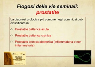 Flogosi delle vie seminali:
            prostatite
La diagnosi urologica più comune negli uomini, si può
classificare in:

   Prostatite batterica acuta

   Prostatite batterica cronica

   Prostatite cronica abatterica (infiammatoria o non
   infiammatoria)
 