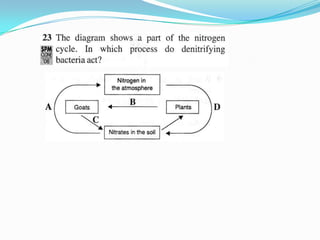 Form 5 Chapter 2 Part 2