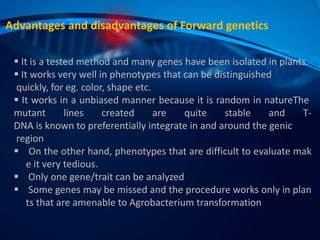 Advantages and disadvantages of Forward genetics
 It is a tested method and many genes have been isolated in plants.
 It works very well in phenotypes that can be distinguished
quickly, for eg. color, shape etc.
 It works in a unbiased manner because it is random in natureThe
mutant lines created are quite stable and T-
DNA is known to preferentially integrate in and around the genic
region
 On the other hand, phenotypes that are difficult to evaluate mak
e it very tedious.
 Only one gene/trait can be analyzed
 Some genes may be missed and the procedure works only in plan
ts that are amenable to Agrobacterium transformation
 
