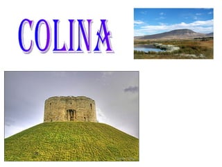 Colina 