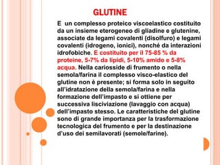 E un complesso proteico viscoelastico costituito
da un insieme eterogeneo di gliadine e glutenine,
associate da legami covalenti (disolfuro) e legami
covalenti (idrogeno, ionici), nonché da interazioni
idrofobiche. E costituito per il 75-85 % da
proteine, 5-7% da lipidi, 5-10% amido e 5-8%
acqua. Nella cariosside di frumento o nella
semola/farina il complesso visco-elastico del
glutine non è presente; si forma solo in seguito
all’idratazione della semola/farina e nella
formazione dell’impasto e si ottiene per
successiva lisciviazione (lavaggio con acqua)
dell’impasto stesso. Le caratteristiche del glutine
sono di grande importanza per la trasformazione
tecnologica del frumento e per la destinazione
d’uso dei semilavorati (semole/farine).
GLUTINE
 