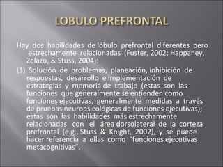 Hay dos habilidades de lóbulo prefrontal diferentes pero
estrechamente relacionadas (Fuster, 2002; Happaney,
Zelazo, & Stuss, 2004):
(1) Solución de problemas, planeación, inhibición de
respuestas, desarrollo e implementación de
estrategias y memoria de trabajo (estas son las
funciones que generalmente se entienden como
funciones ejecutivas, generalmente medidas a través
de pruebas neuropsicológicas de funciones ejecutivas);
estas son las habilidades más estrechamente
relacionadas con el área dorsolateral de la corteza
prefrontal (e.g., Stuss & Knight, 2002), y se puede
hacer referencia a ellas como “funciones ejecutivas
metacognitivas”.
 