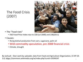 The Food Crisis
(2007)
• The ”Food riots”
• FAO Food Price Index rose to 220 (Jul 2008) and 238(2011)
• Causes:
• Rising biofuel production from corn, sugarcane, palm oil
• Wild commodity speculation, pre 2008 financial crisis
• Climate, drought
8/16/16 11
By Jashuah - Own work by uploader, data from Food and Agriculture Organization, CC BY-SA
3.0, https://commons.wikimedia.org/w/index.php?curid=19394247
 