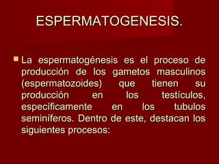 ESPERMATOGENESIS.ESPERMATOGENESIS.
 La espermatogénesis es el proceso deLa espermatogénesis es el proceso de
producción de los gametos masculinosproducción de los gametos masculinos
(espermatozoides) que tienen su(espermatozoides) que tienen su
producción en los testículos,producción en los testículos,
específicamente en los tubulosespecíficamente en los tubulos
seminíferos. Dentro de este, destacan losseminíferos. Dentro de este, destacan los
siguientes procesos:siguientes procesos:
 