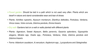 ØPaved garden- Should be laid in a path which is not used very often. Plants which are
dwarf in nature and stand considerable wear and tear of shoes
• Plants- Achillea rupestris, Alyssum montanum, Dianthus deltoides, Portulaca, Verbena,
Vinca rosea, Viola cornuta, Zebrina pendula, Zinnia linearis
ØDry wall- Gardens laid on a wall or walls planted with different plants
• Plants- Ageratum, Sweet Alyssum, Bellis perennis, Gazania splendens, Gypsophila
elegans, Mirabis spp. Oxalis spp., Portulaca, Verbena, Viola, Zebrina pendula and
Zebrina linearis
• Ferns- Adiantum caudatum, A.venustum, Asplenium spp., Lycopodiums and Selaginellas
 