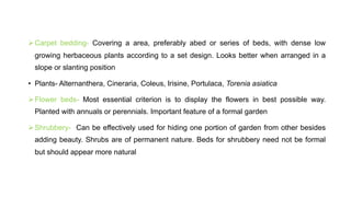 ØCarpet bedding- Covering a area, preferably abed or series of beds, with dense low
growing herbaceous plants according to a set design. Looks better when arranged in a
slope or slanting position
• Plants- Alternanthera, Cineraria, Coleus, Irisine, Portulaca, Torenia asiatica
ØFlower beds- Most essential criterion is to display the flowers in best possible way.
Planted with annuals or perennials. Important feature of a formal garden
ØShrubbery- Can be effectively used for hiding one portion of garden from other besides
adding beauty. Shrubs are of permanent nature. Beds for shrubbery need not be formal
but should appear more natural
 