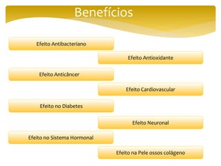 Benefícios
Efeito Antibacteriano
Efeito Antioxidante
Efeito Anticâncer
Efeito Cardiovascular
Efeito no Diabetes
Efeito Neuronal
Efeito no Sistema Hormonal
Efeito na Pele ossos colágeno
 